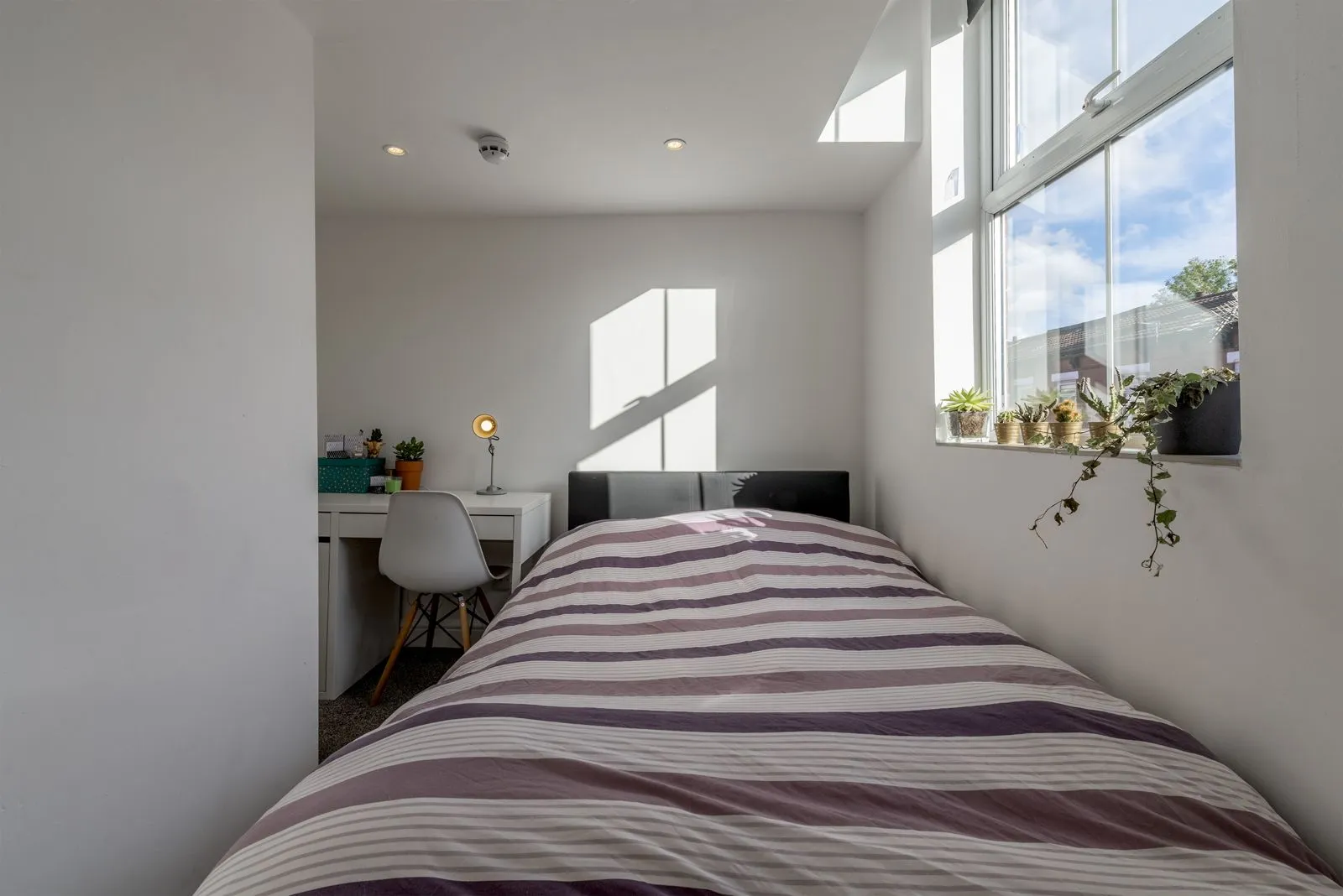 13 Cedar Grove, photo 3